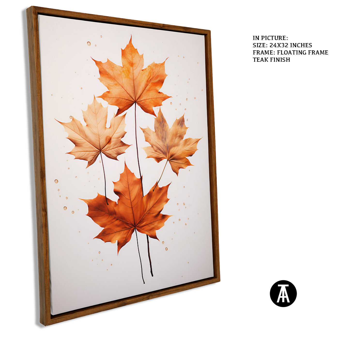 Artwork in Floating Frame