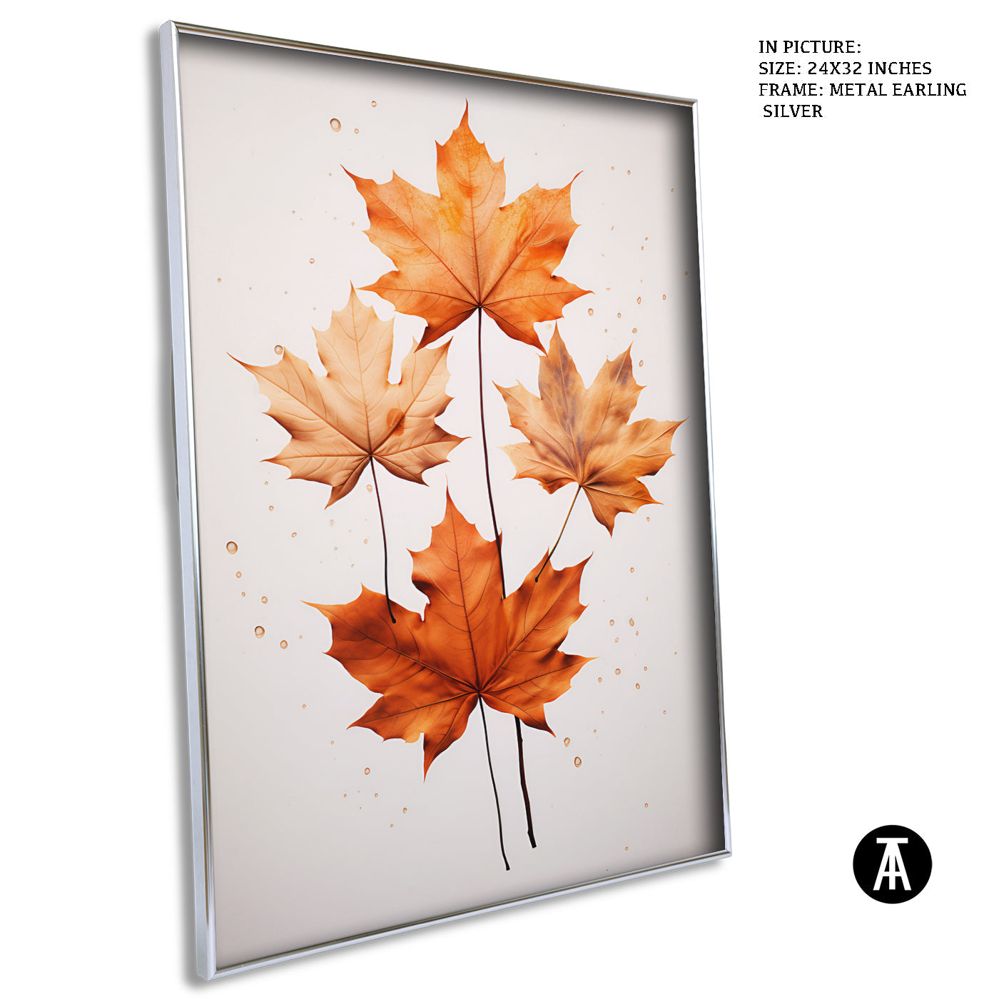 Artwork in Black Frame