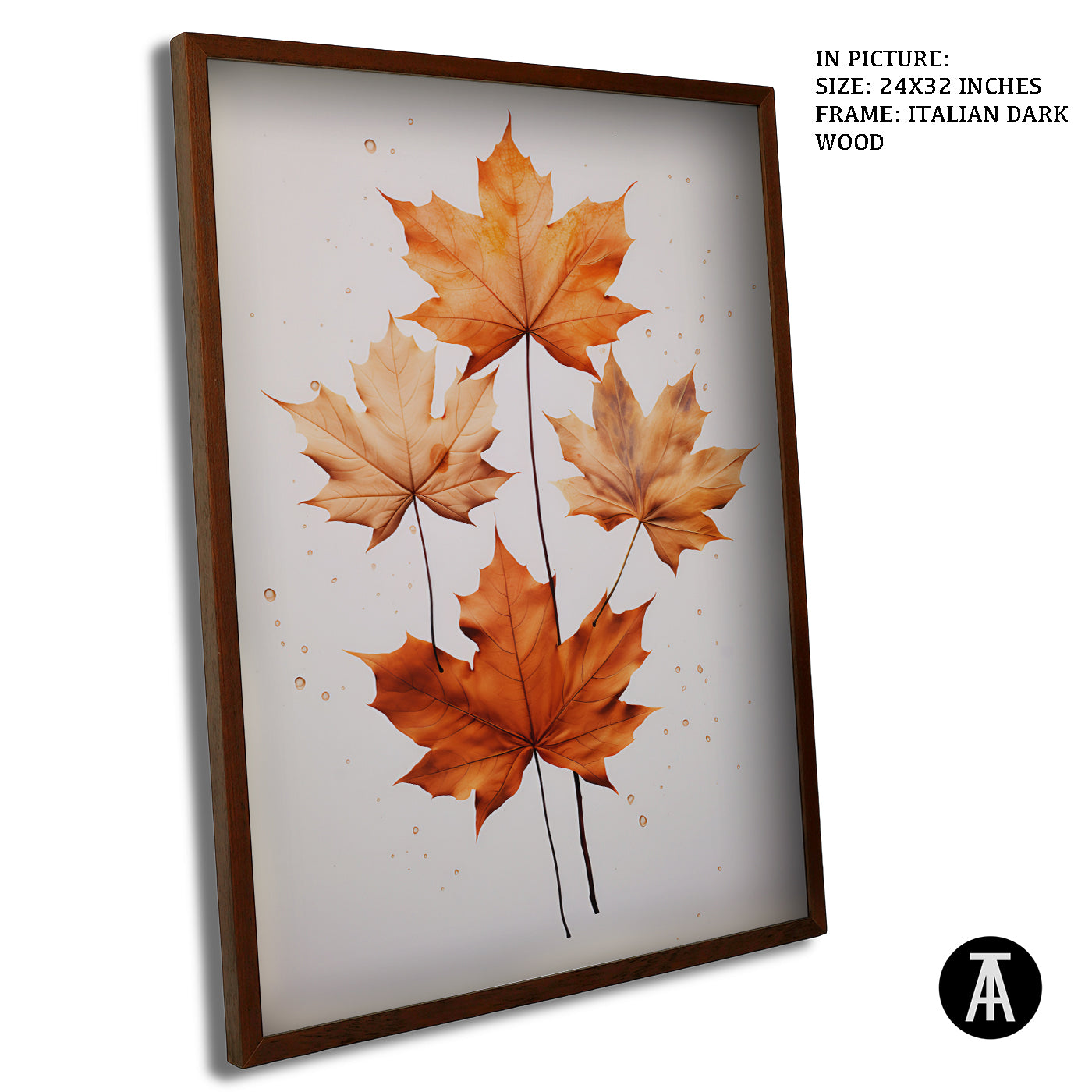 Artwork in Dark Wood Frame