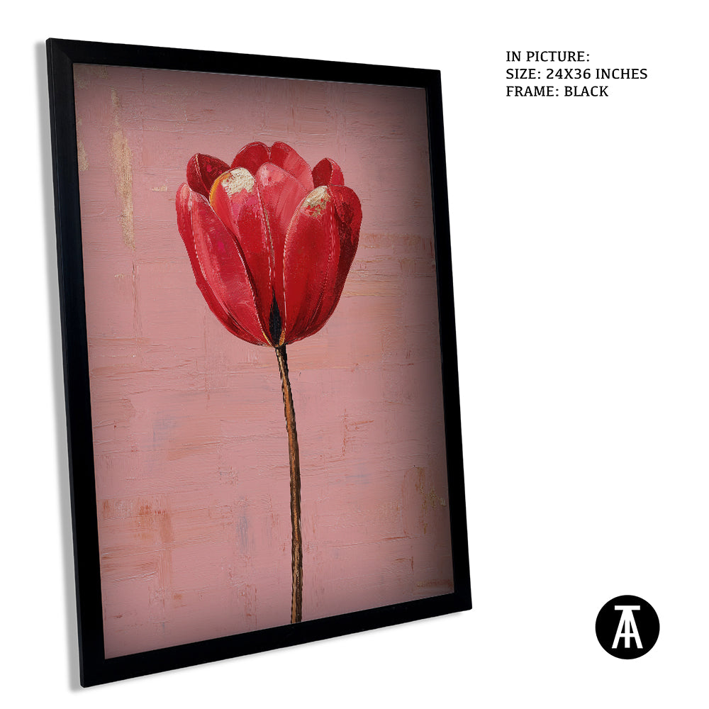 Crimson Tulip, Blush Calm by Mexico Majestica