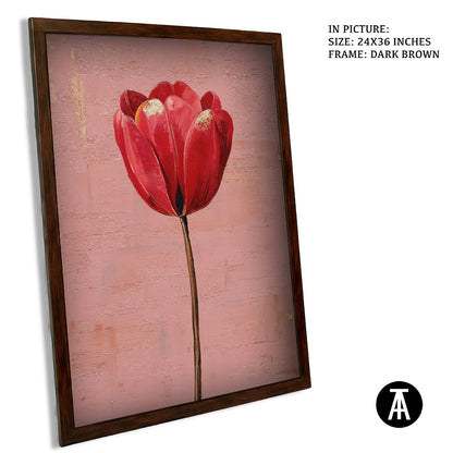 Crimson Tulip, Blush Calm by Mexico Majestica