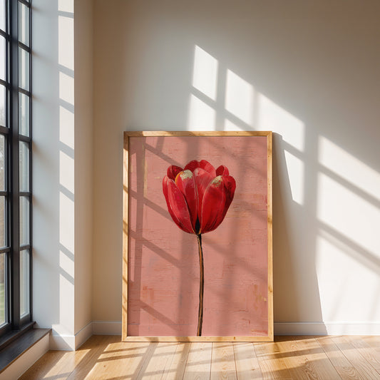 Crimson Tulip, Blush Calm by Mexico Majestica