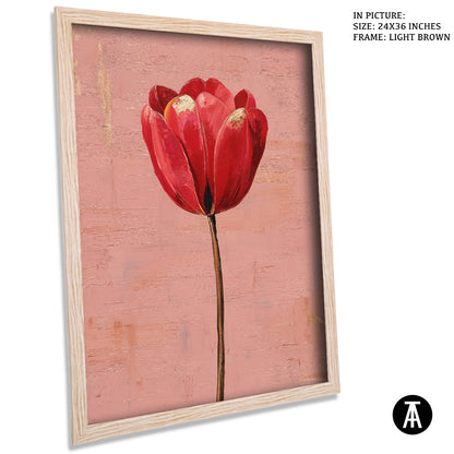 Crimson Tulip, Blush Calm by Mexico Majestica