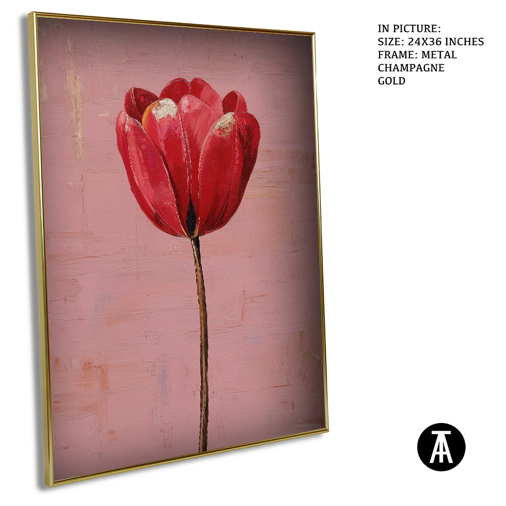 Crimson Tulip, Blush Calm by Mexico Majestica