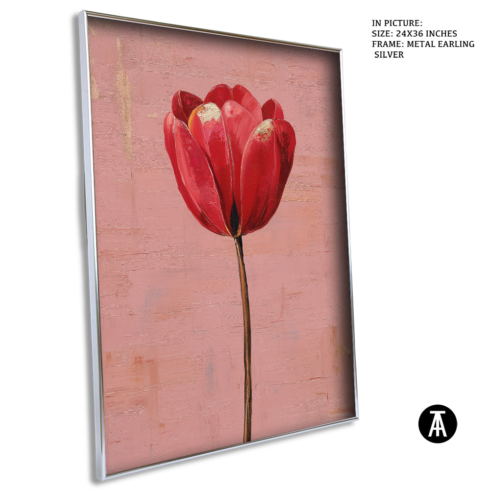 Crimson Tulip, Blush Calm by Mexico Majestica