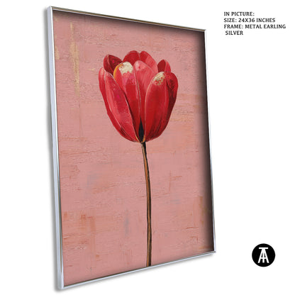 Crimson Tulip, Blush Calm by Mexico Majestica