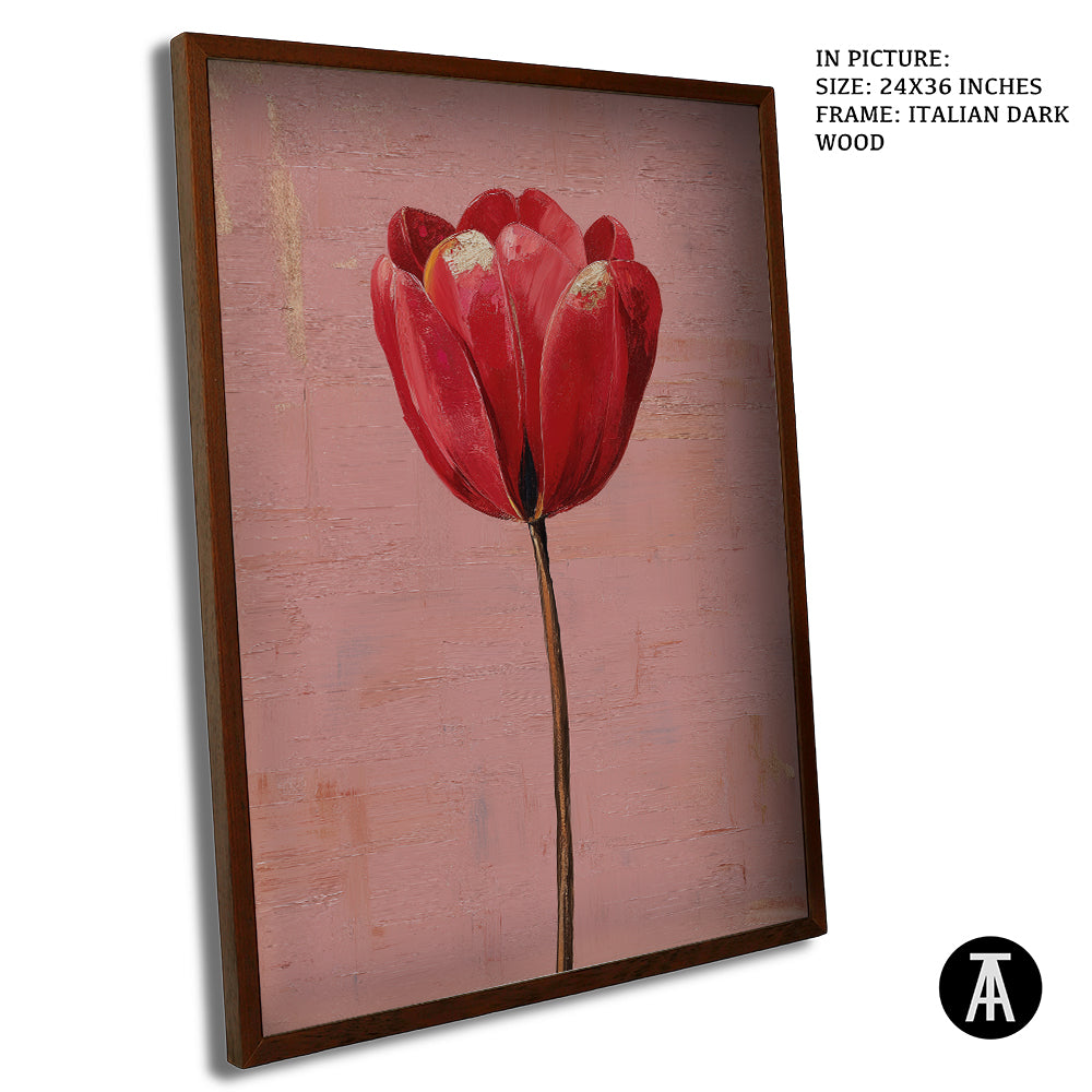 Crimson Tulip, Blush Calm by Mexico Majestica