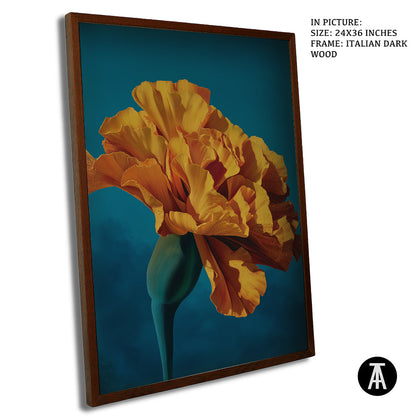 Artwork in Dark Wood Frame