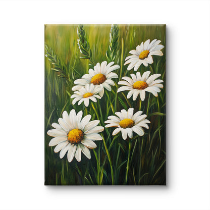 White Daisies by Fleurs de la Terre