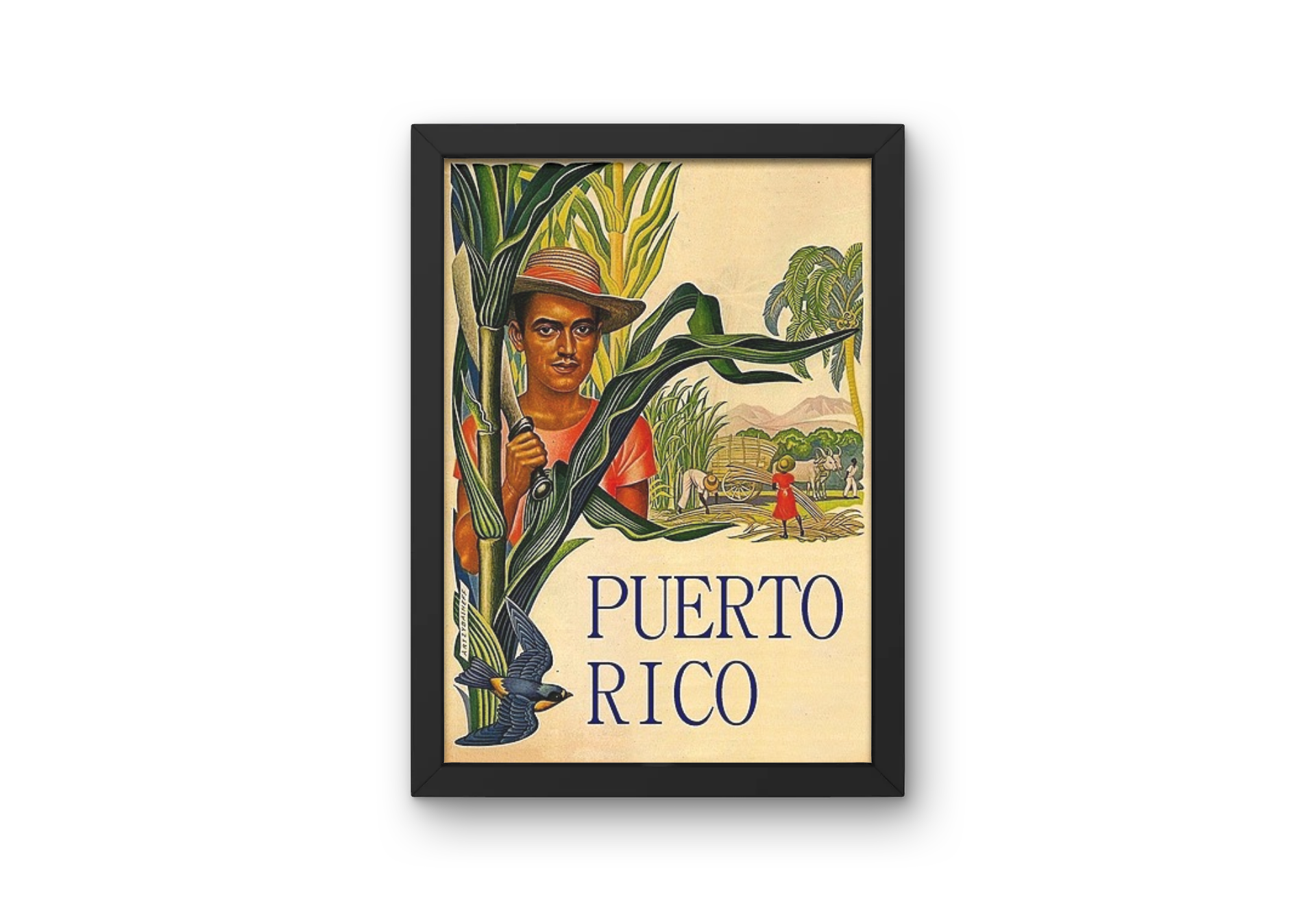 Vintage Puertorico Jungle Travel Art Painting
